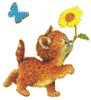 images/avatars/avatar-26.gif